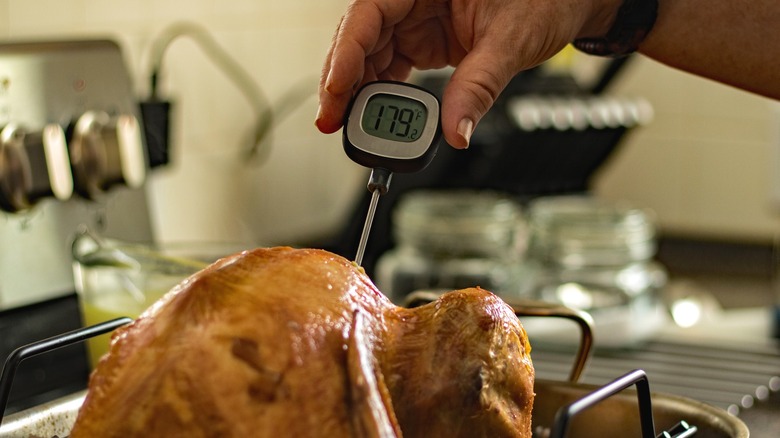 Checking turkey temperature with a digital thermometer