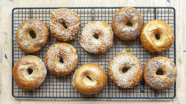 Different bagel varieties