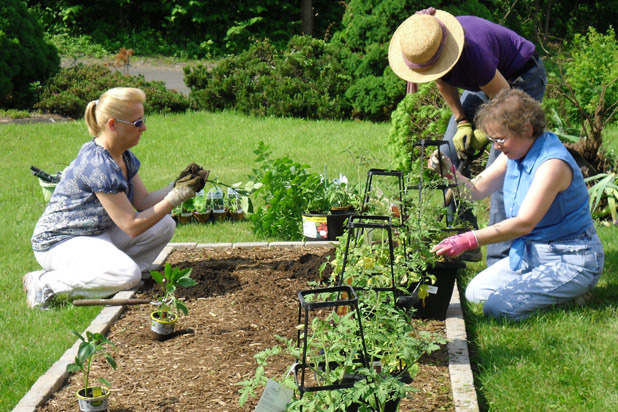 15. Plant Some Produce