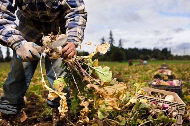 19. Adopt Some Farmland 