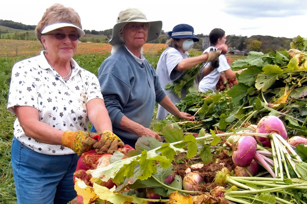 #21: Get Out and Glean