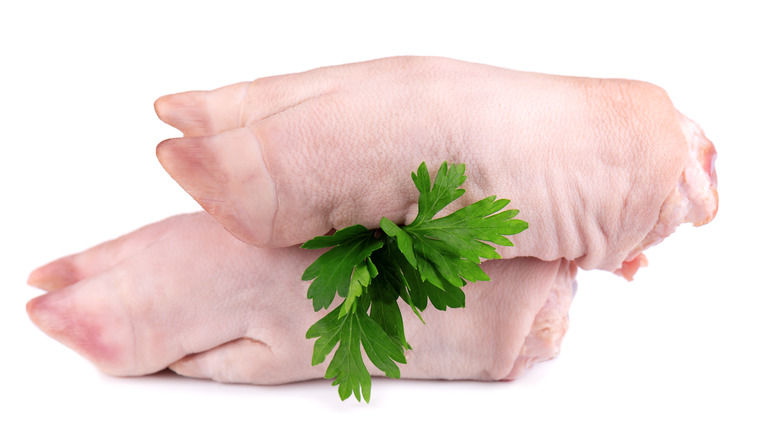 Raw pork trotters with parsley