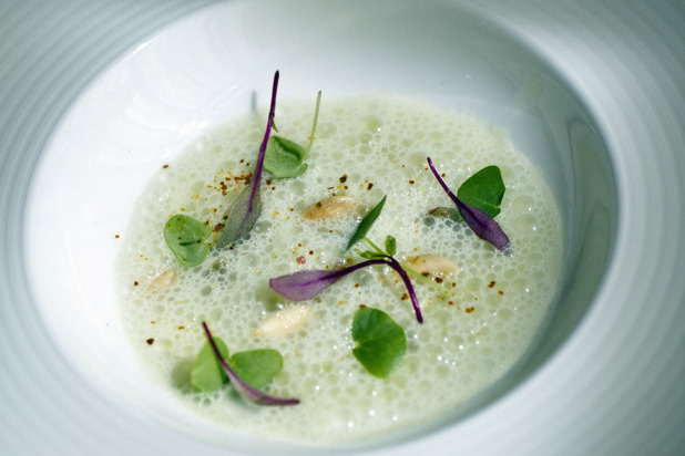 1. Green Tomato Gazpacho