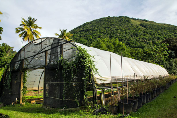 Restaurant/Farm