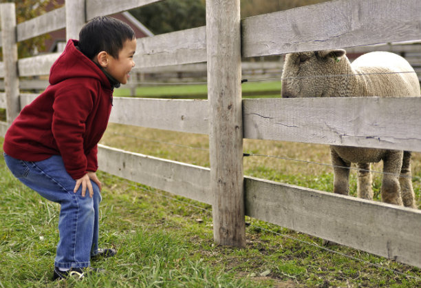 Visit a Farm