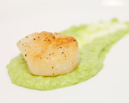 Seared Scallops with Pea Purée 