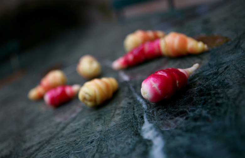 Oca (Peru)