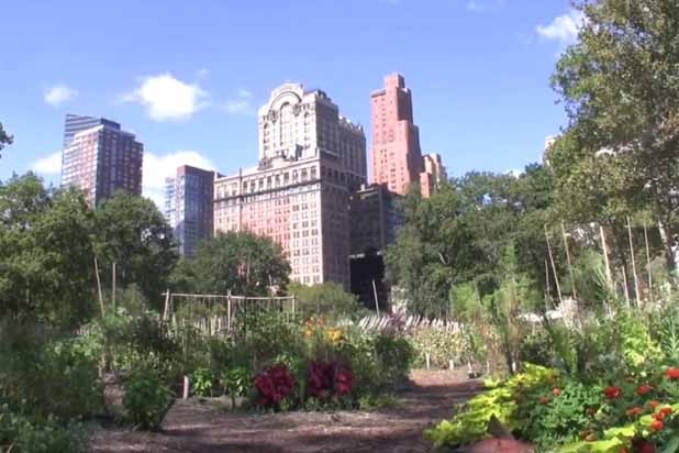 Rebuild Battery Urban Farm, Battery Park