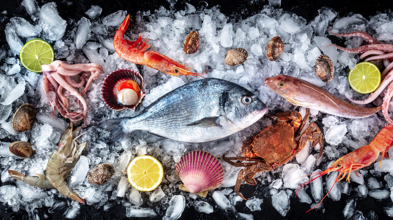 Fresh seafood variety laid out on ice against a dark background