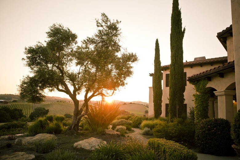 The Canyon Villa (Paso Robles, Calif.)