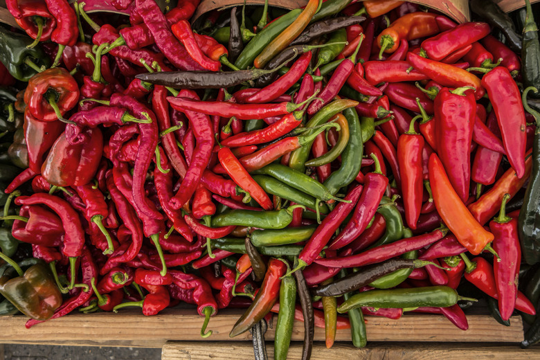 Eat Chile Peppers to Keep the Bugs Away