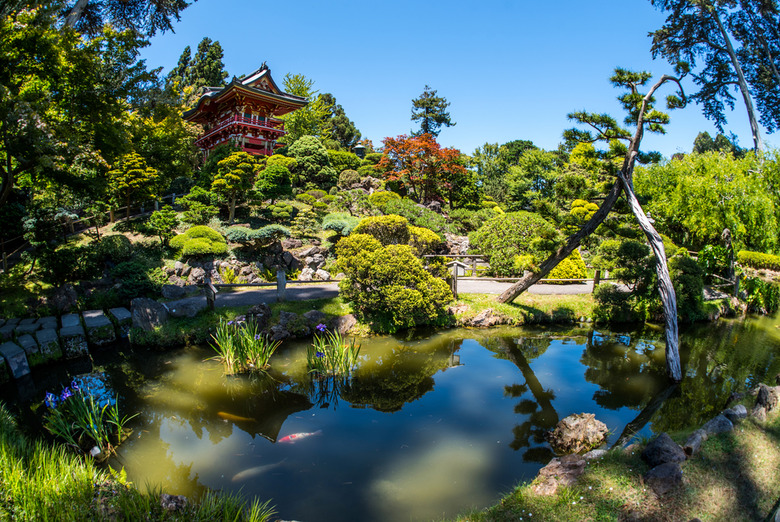 The San Francisco Botanical Garden, San Francisco