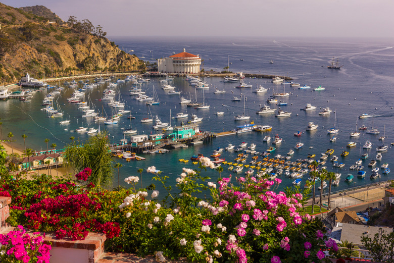 Catalina Island