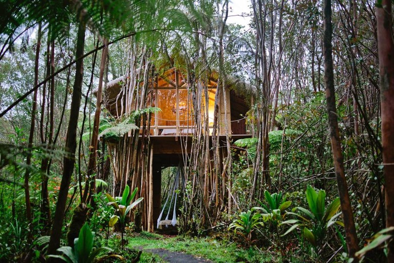 Dreamy Tropical Tree House (Fern Forest, Hawaii)