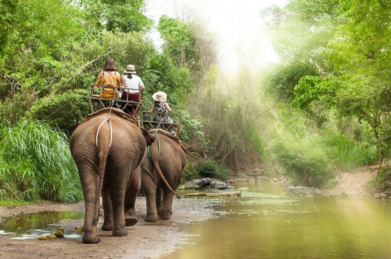 Elephant Tours in Chiang Mai