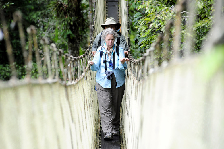 Exploring the Amazon