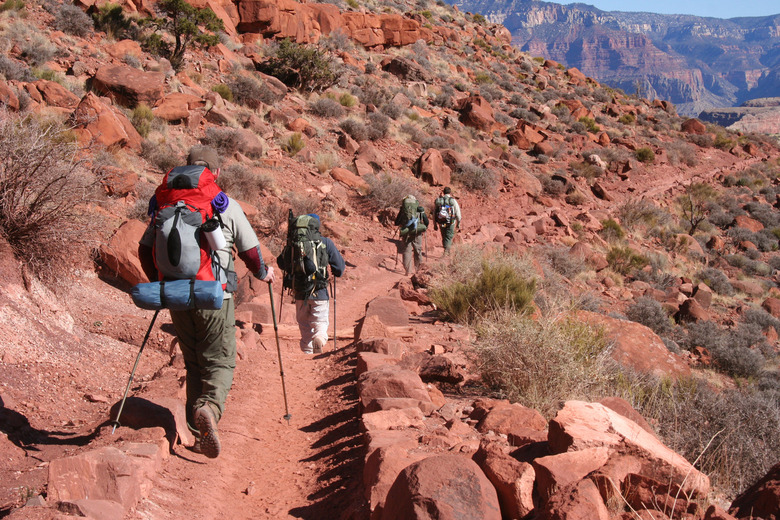 Hiking Down the Grand Canyon