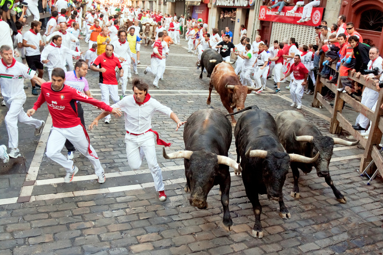 Running of the Bulls in Pamplona