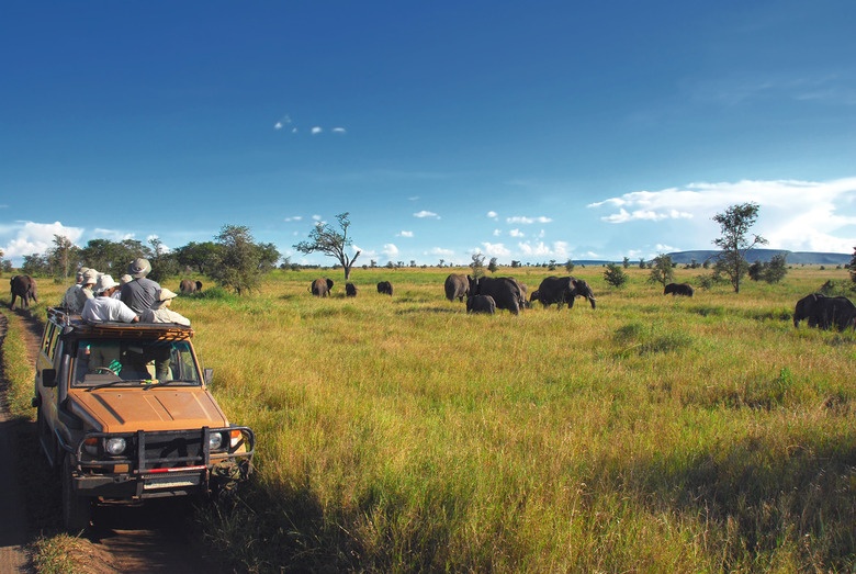 Safari in Africa