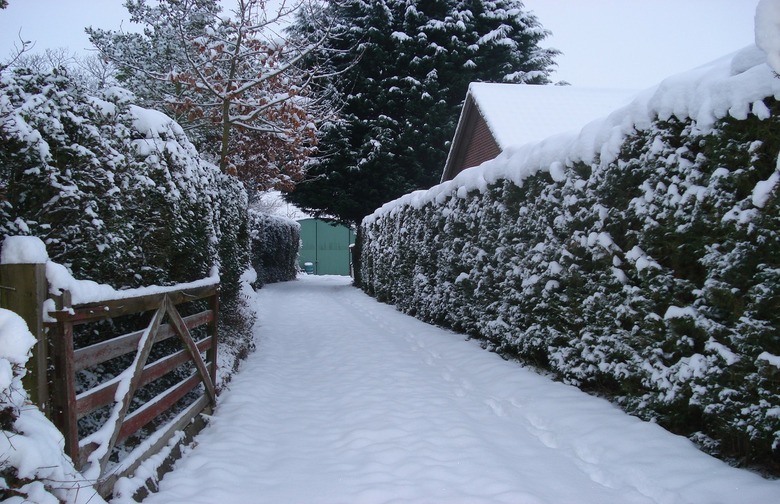 Shovel Your Driveway