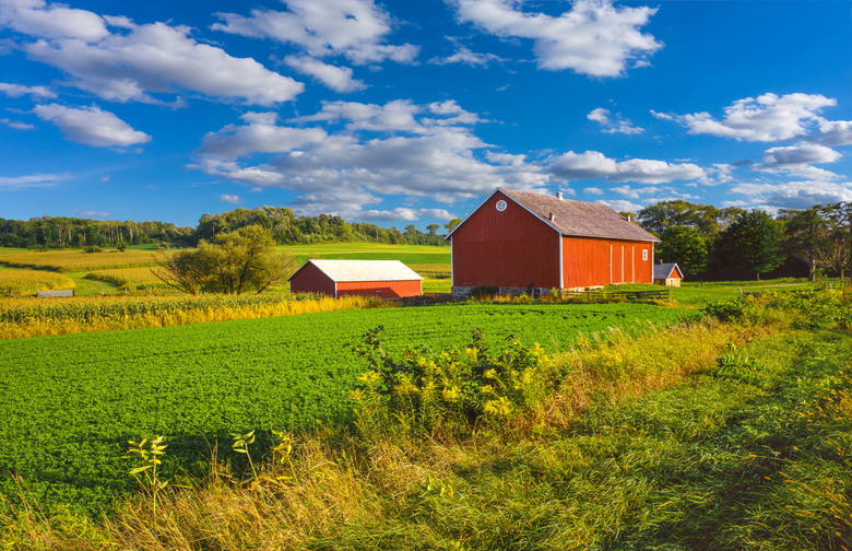 Adopt Farmland