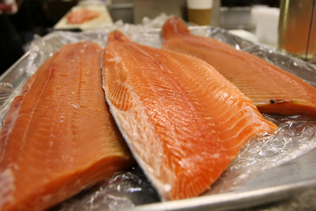 Farmed Salmon 