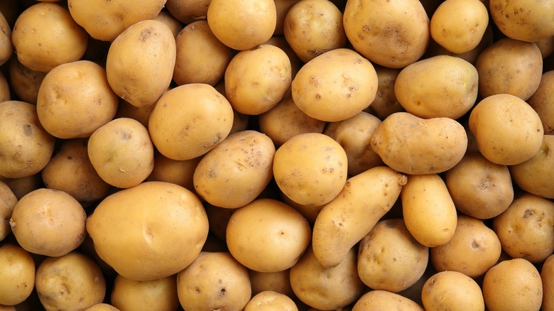 Pile of yukon gold potatoes