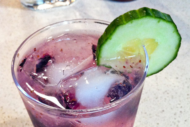 Cucumber Gin and Tonic with Blueberries