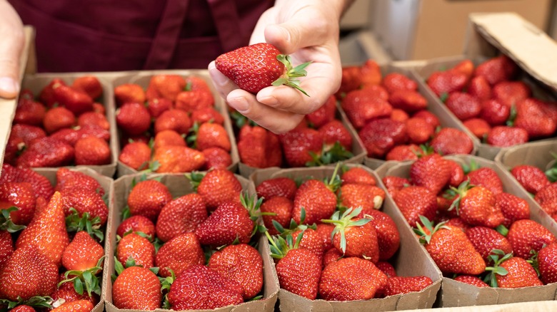 Strawberries in paper cartons