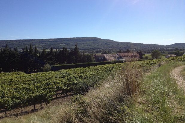 Tour a Wine Village Via Segway at Domaine Rozel