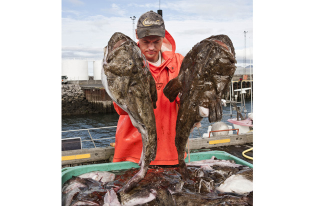 Icelandic Fish