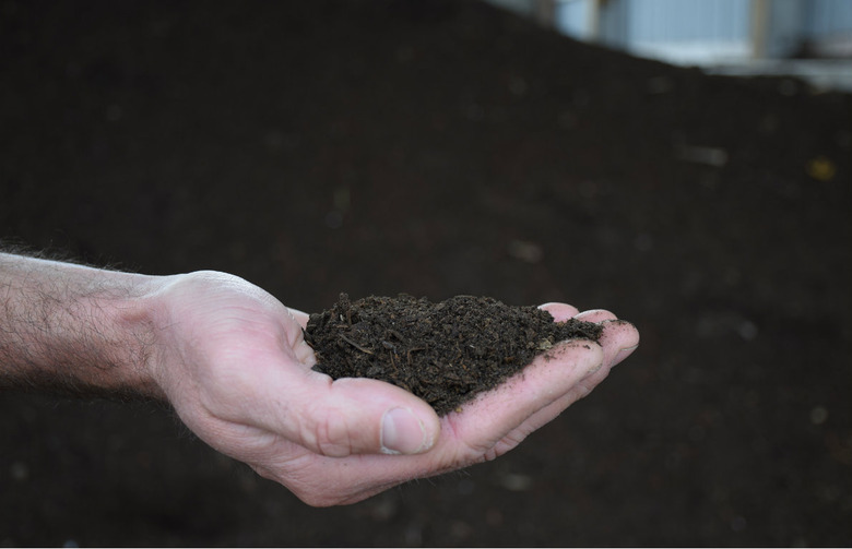 Organic Fertilizer