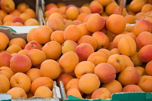 Apricots