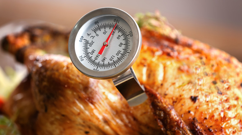 meat thermometer in chicken