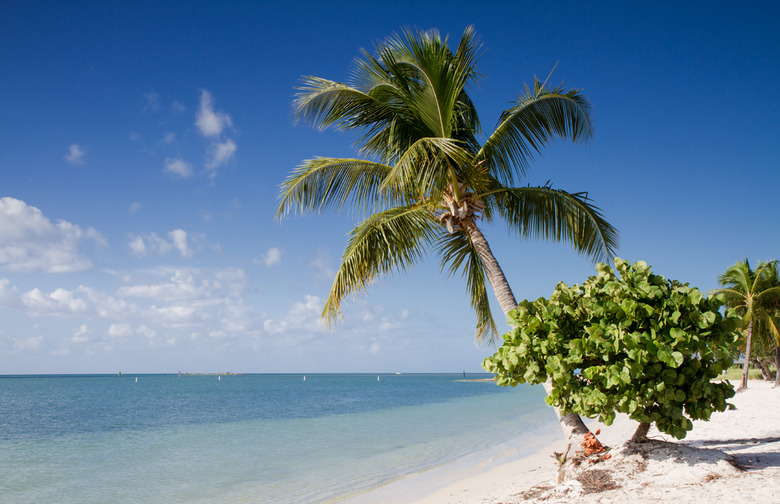 Sombrero Beach