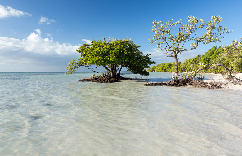 Anne's Beach