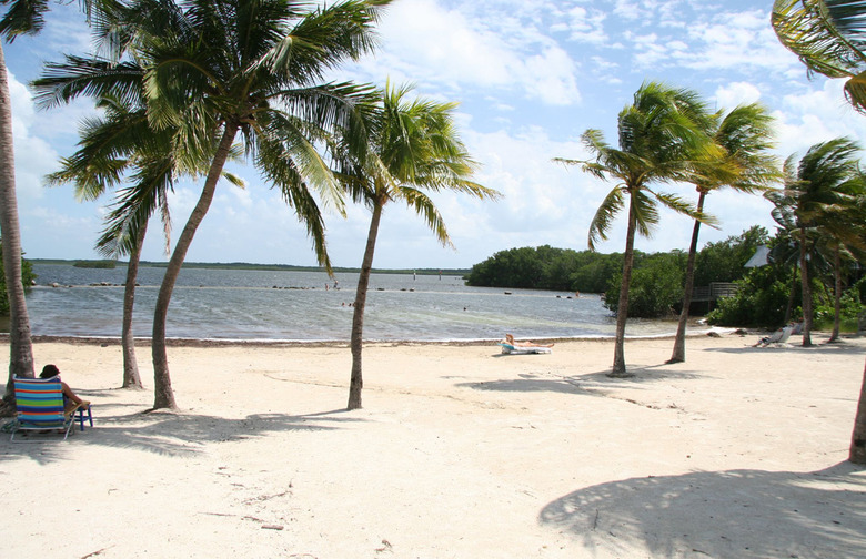 John Pennekamp Coral Reef State Park