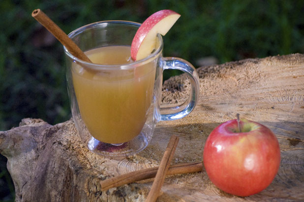 Apple Cider From the Farmer's Market