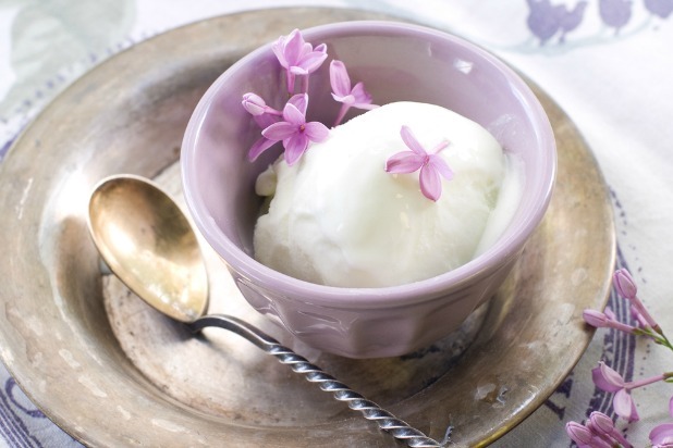 Lavender Ice Cream