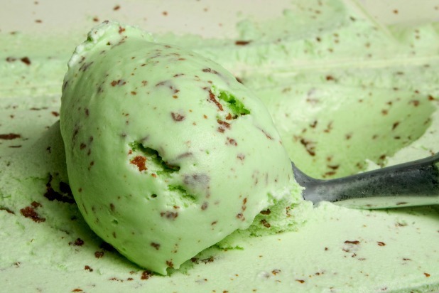 Mint Chocolate Chip Ice Cream 