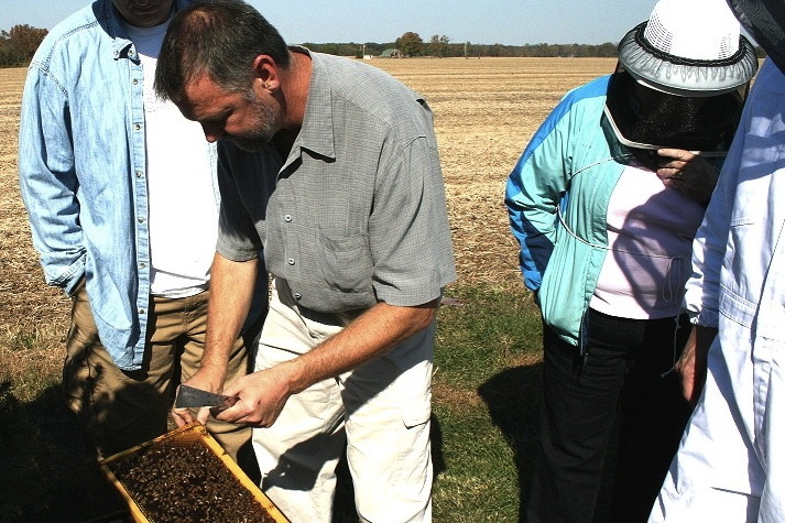 Beekeeping Midwest: Long Lane Honey Bee Farm, Fairmount, Ill.