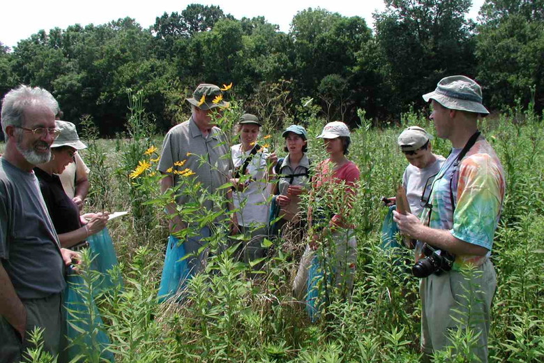 Foraging Midwest: Midwest Native Skills Institute, Medina, Ohio