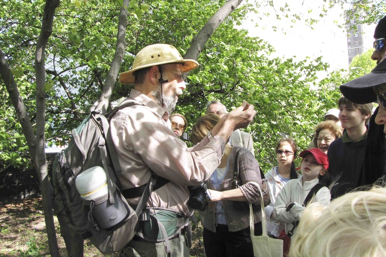 Foraging Northeast: 'Wildman' Steve Brill, New York Metro Area