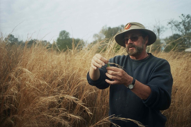 Foraging South: Eat the Weeds with Green Deane, Florida