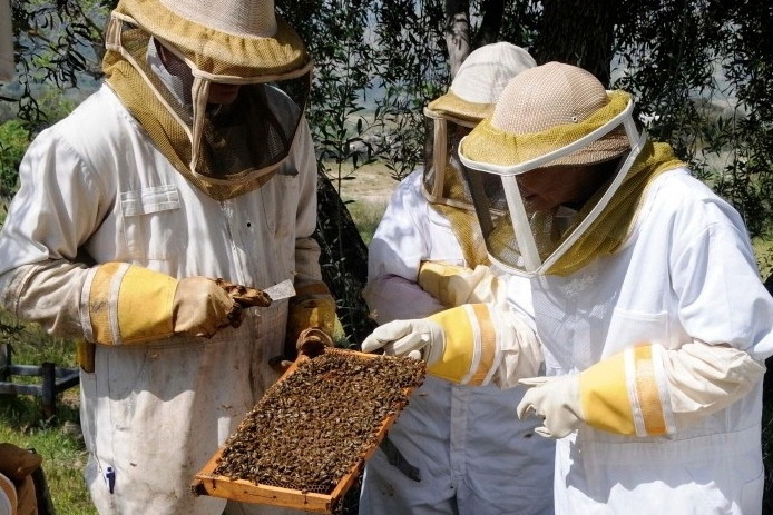 Beekeeping West: Los Angeles County Beekeepers Association, La Crescenta, Calif.