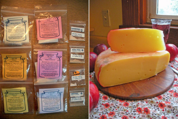 Cheesemaking Midwest: Merryl Winstein's Cheesemaking Classes and Raw Milk, St. Louis