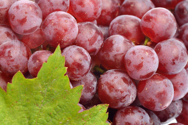 Red Grapes