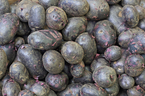 Potatoes (Purple)