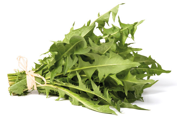 Dandelion Greens