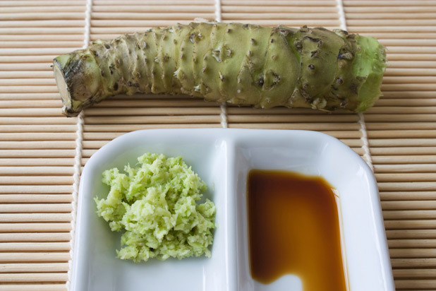 Wasabi